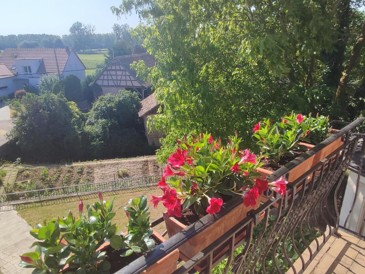 Appartement Des Rives De L'Ehn Krautergersheim Exterior foto